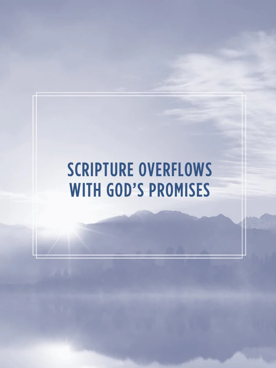 God's Promises During Times of Trouble: Encouragement and Inspiration for Life's Most Difficult Challenges - Image 4