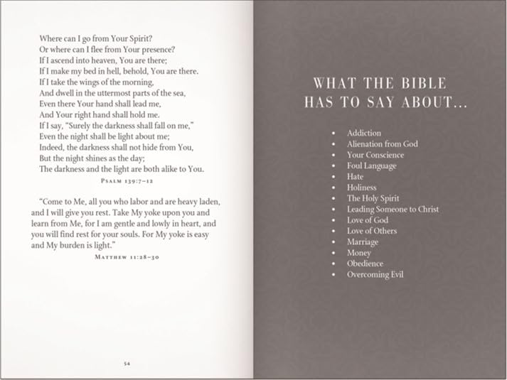God's Promises for Graduates: Class of 2026 - Gold NIV: New International Version (The Perfect Christian Graduation Gift to Celebrate Your Grad) - Image 2