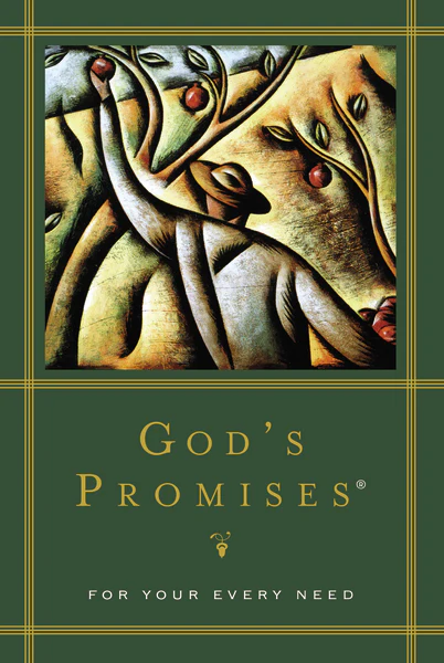 God's Promises for Your Every Need: A Treasury of Scripture for Life - Image 2