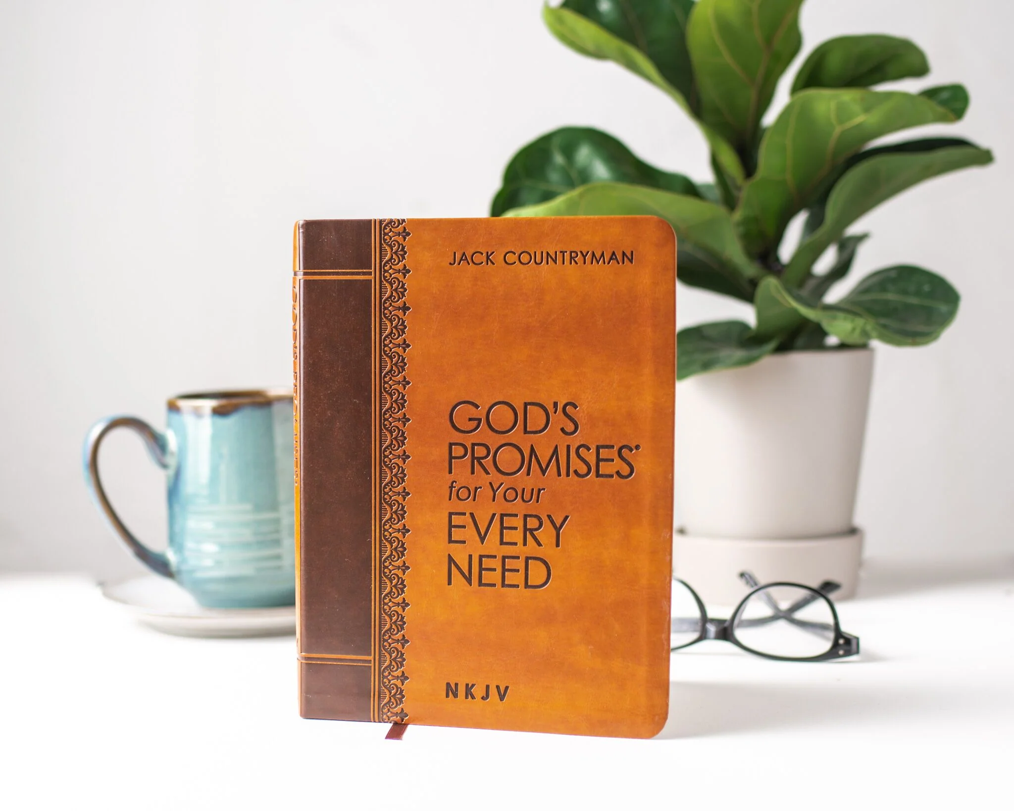 God's Promises for Your Every Need: A Treasury of Scripture for Life - Image 5