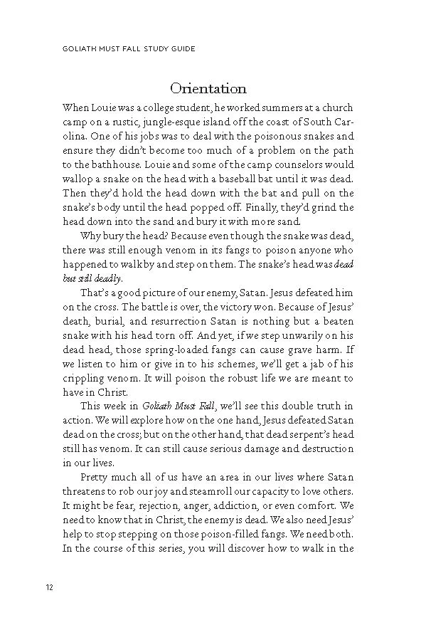 Goliath Must Fall Study Guide with DVD: Winning the Battle Against Your Giants - Image 8