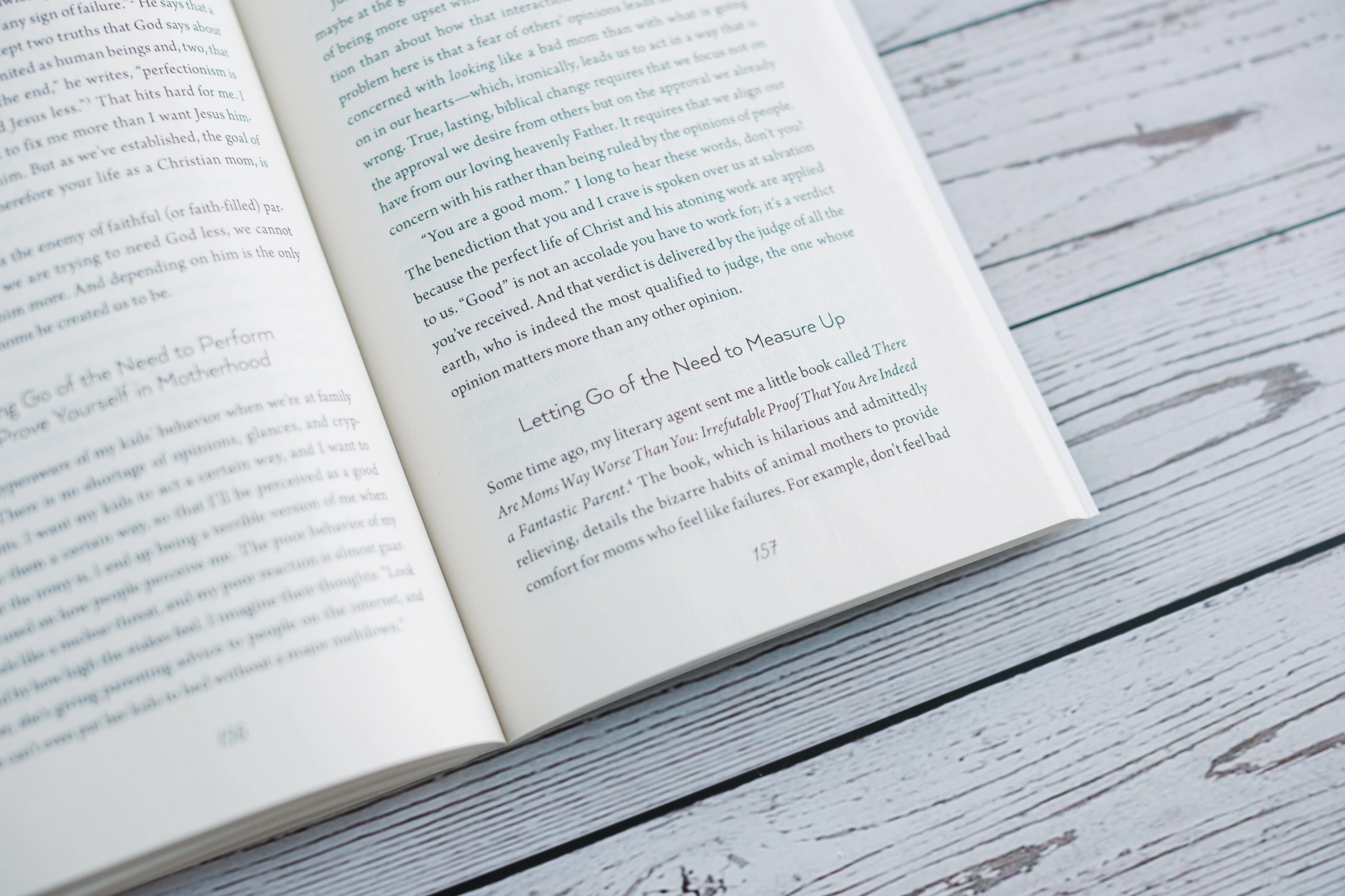 Help! I'm Ruining My Kids: A Gospel Guide for the Mom Who's Desperate for Change - Image 13