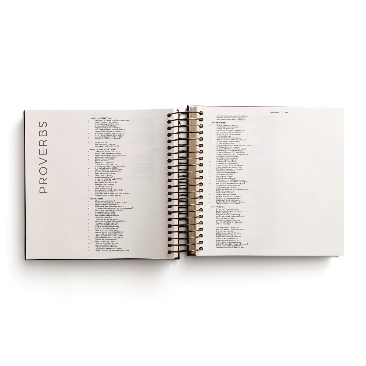 CSB, Spiral-bound Illustrating Bible, Softcover Spiral, Cranberry: Draw, Write, and Reflect Your Way Through Scripture - Image 5