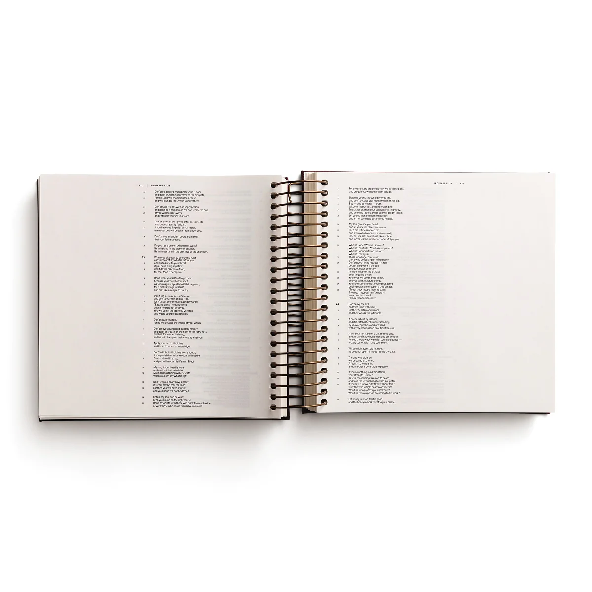 CSB, Spiral-bound Illustrating Bible, Softcover Spiral, Cranberry: Draw, Write, and Reflect Your Way Through Scripture - Image 6