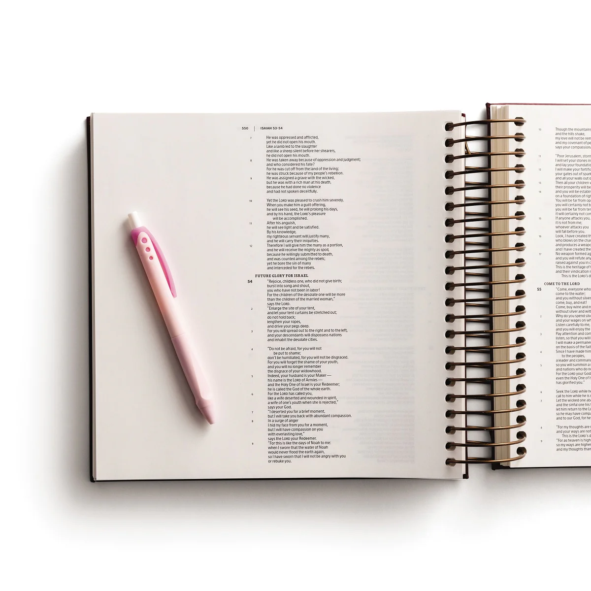 CSB, Spiral-bound Illustrating Bible, Softcover Spiral, Cranberry: Draw, Write, and Reflect Your Way Through Scripture - Image 7