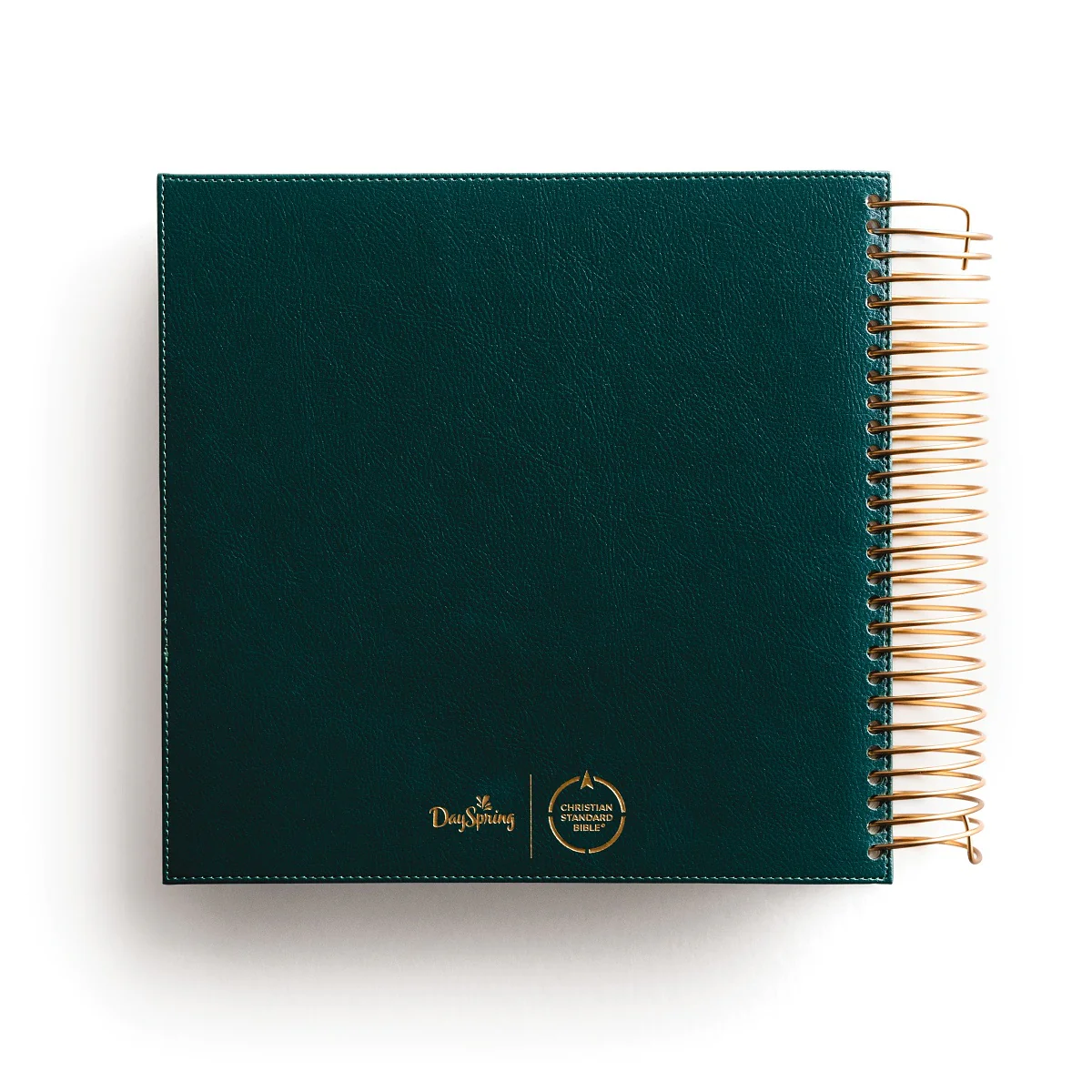 CSB, Spiral-bound Illustrating Bible, Softcover Spiral, Green: Draw, Write, and Reflect Your Way Through Scripture - Image 2
