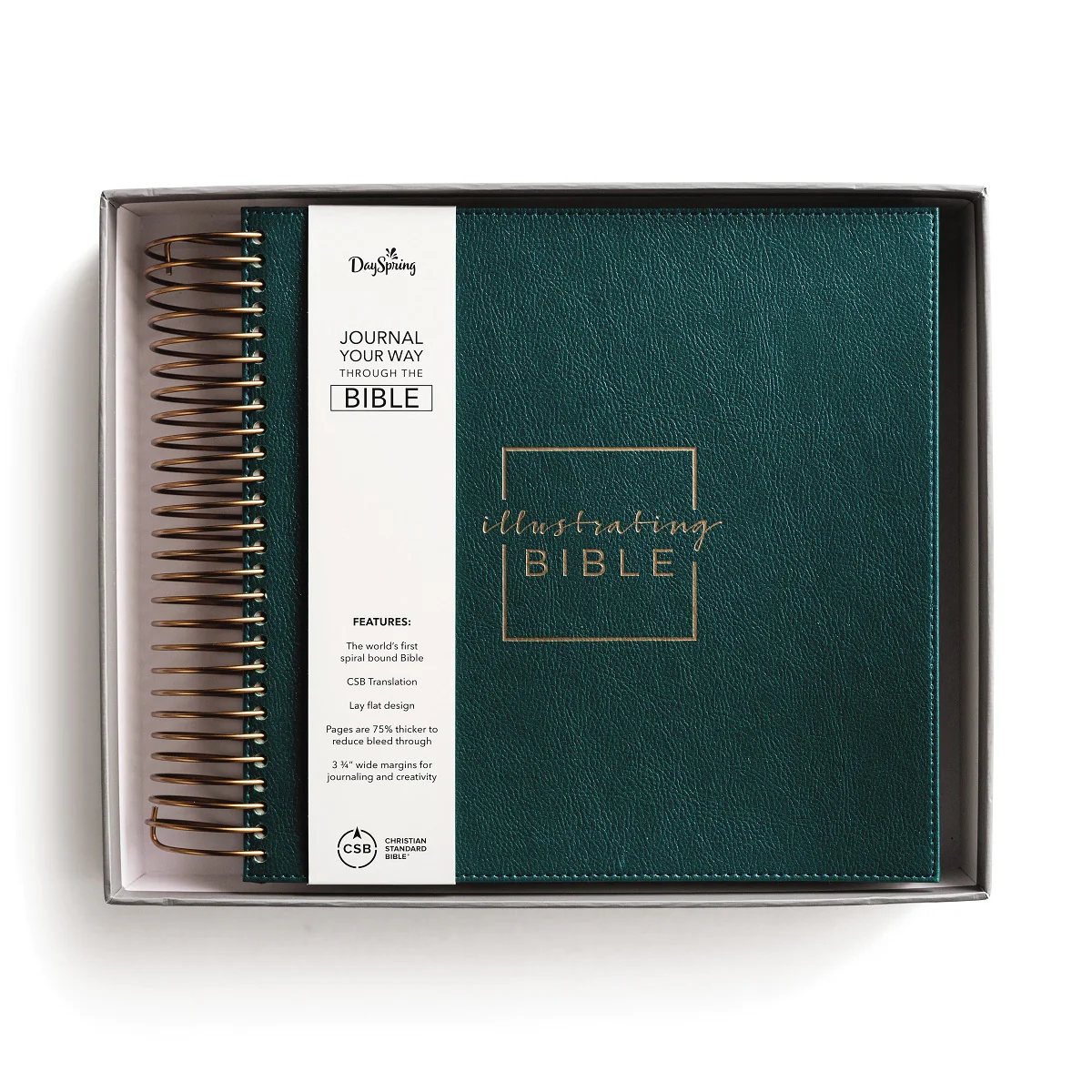 CSB, Spiral-bound Illustrating Bible, Softcover Spiral, Green: Draw, Write, and Reflect Your Way Through Scripture - Image 3