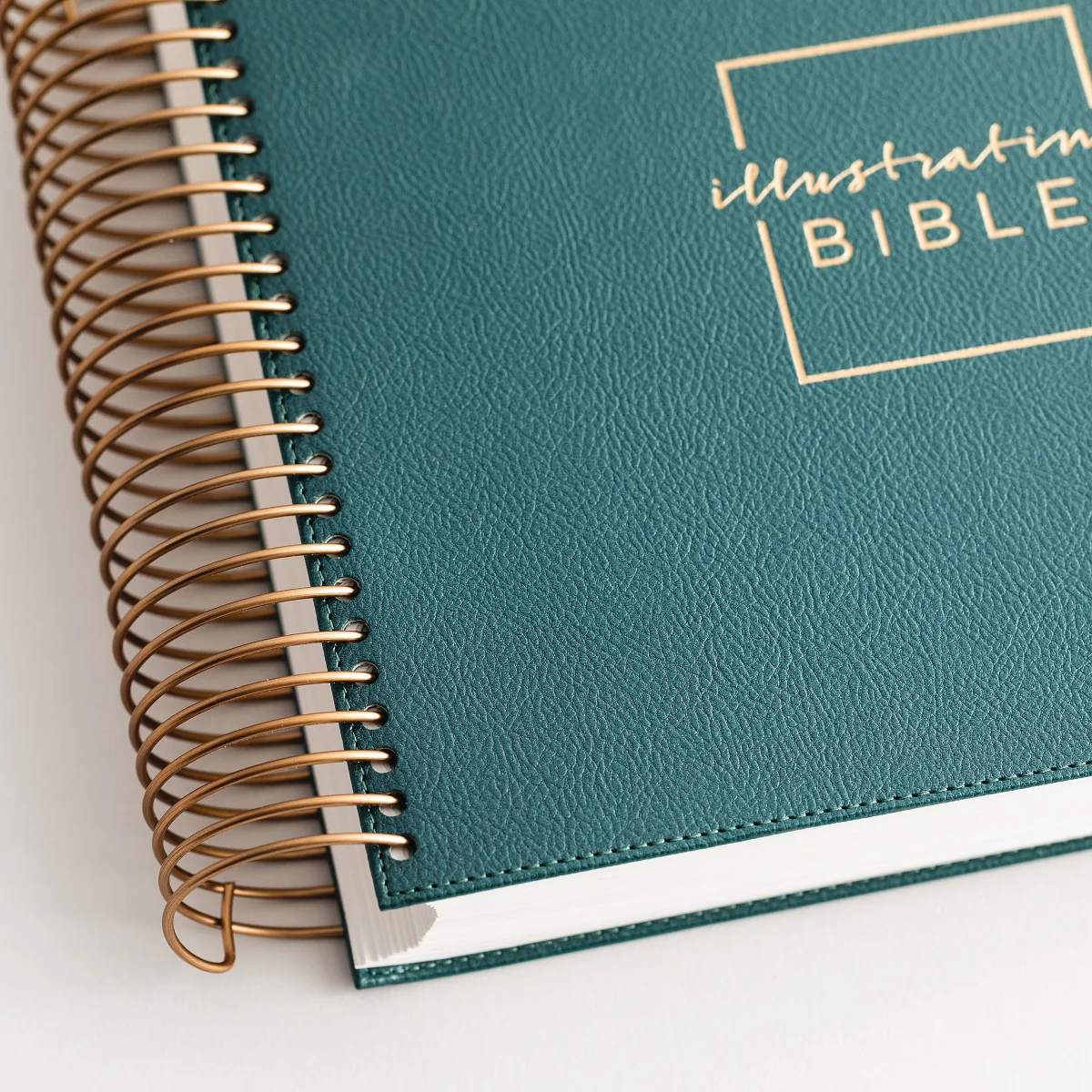 CSB, Spiral-bound Illustrating Bible, Softcover Spiral, Green: Draw, Write, and Reflect Your Way Through Scripture - Image 4