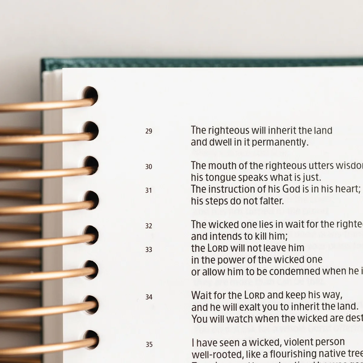 CSB, Spiral-bound Illustrating Bible, Softcover Spiral, Green: Draw, Write, and Reflect Your Way Through Scripture - Image 5
