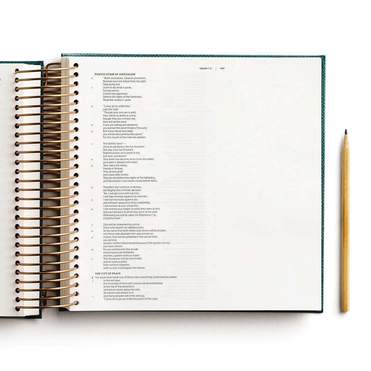 CSB, Spiral-bound Illustrating Bible, Softcover Spiral, Green: Draw, Write, and Reflect Your Way Through Scripture - Image 9