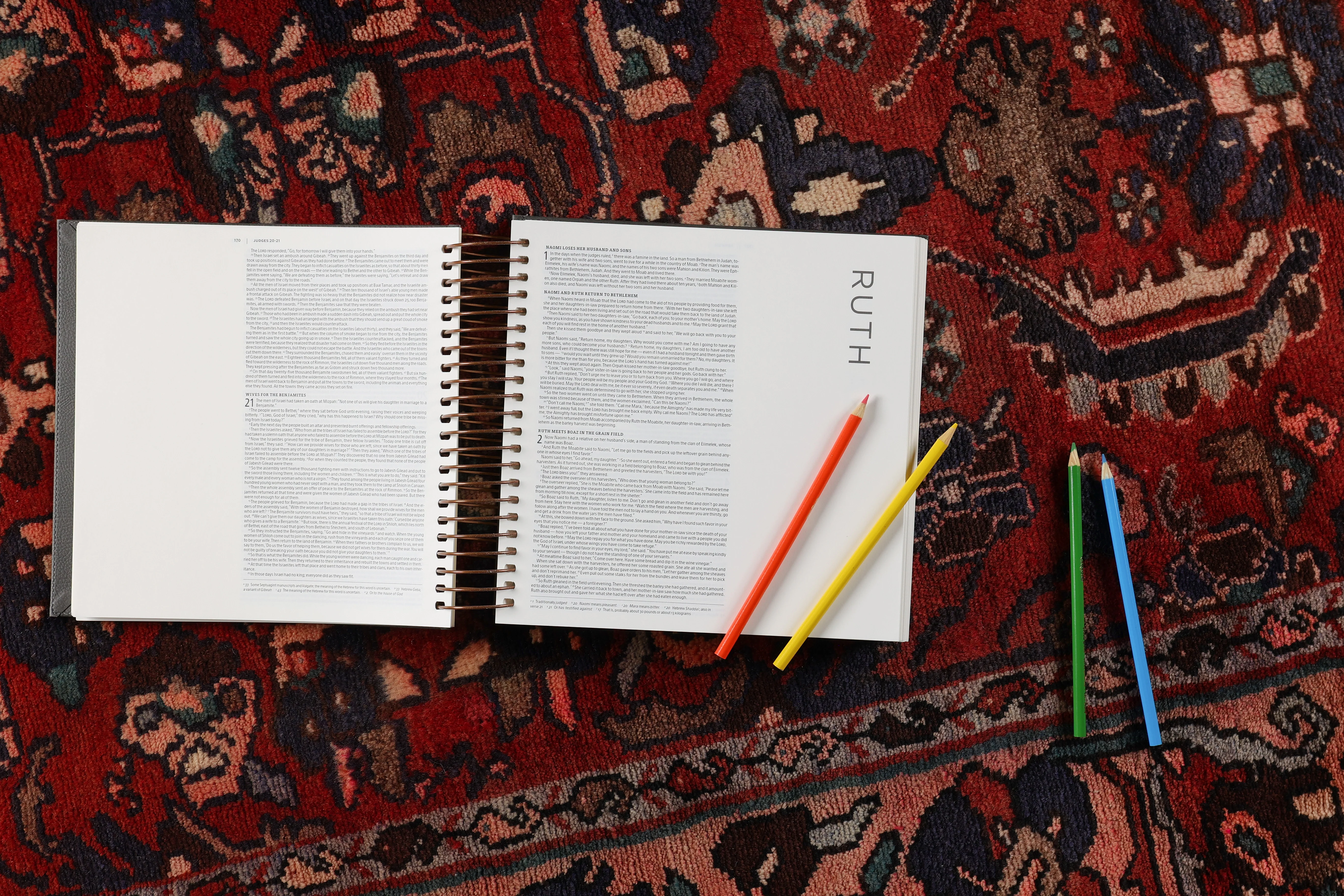 NIV, Spiral-bound Illustrating Bible, Softcover Spiral, Dark Gray: Draw, Write, and Reflect Your Way Through Scripture - Image 7