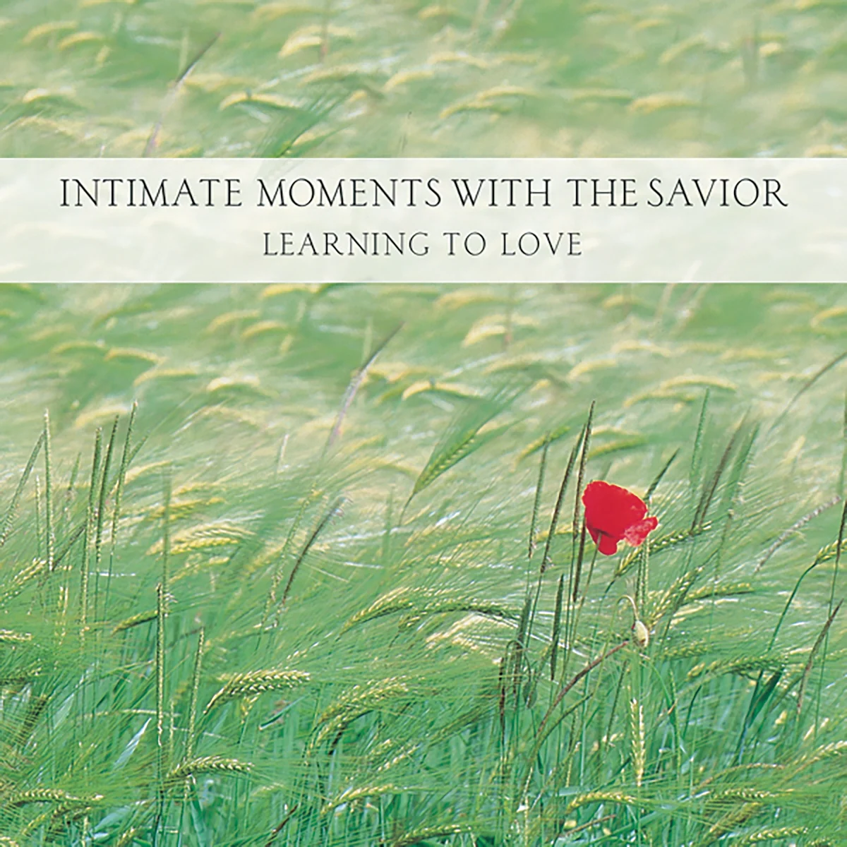 Intimate Moments with the Savior: Learning to Love - Audiobook (Unabridged)
