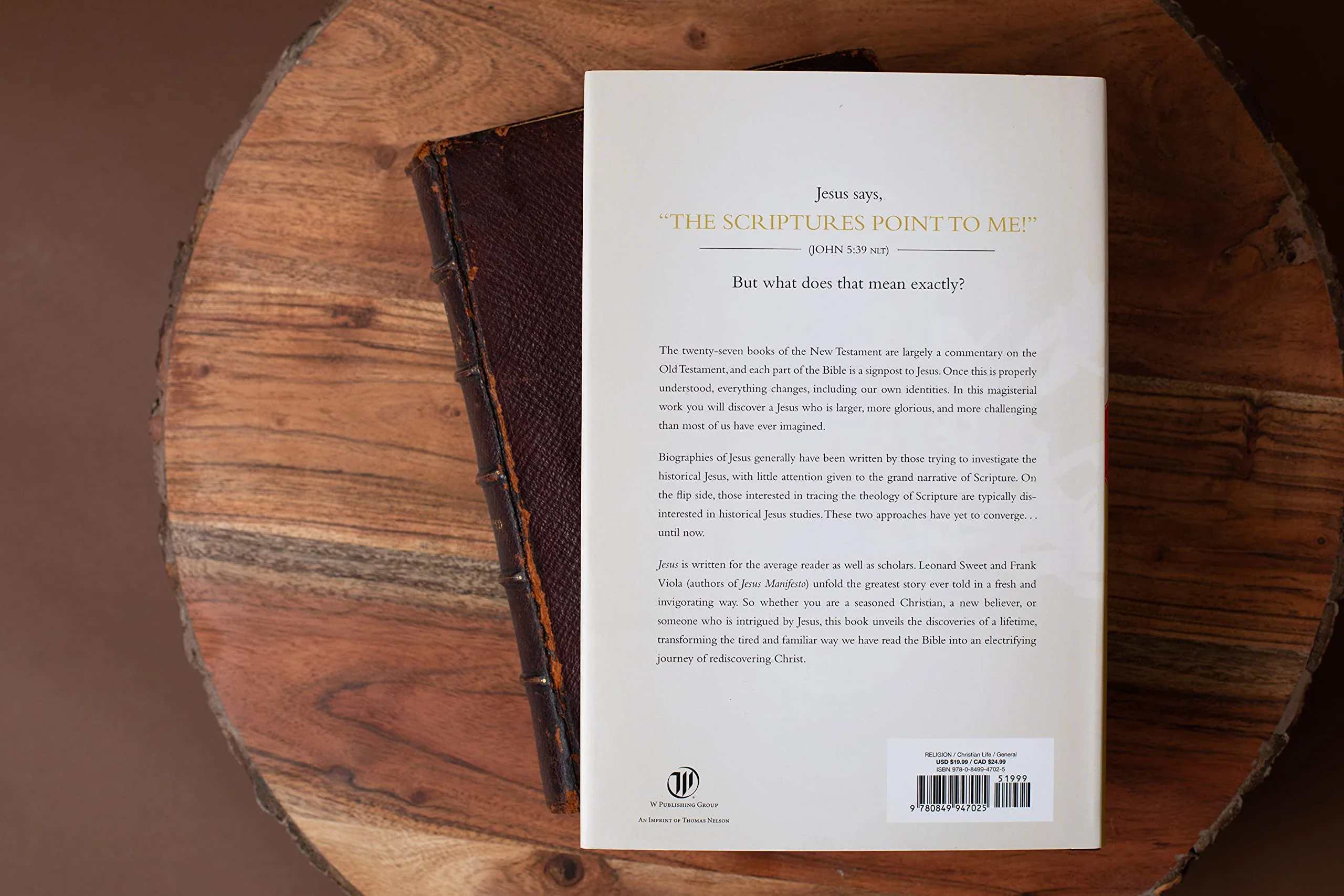 Jesus: A Theography - Image 4