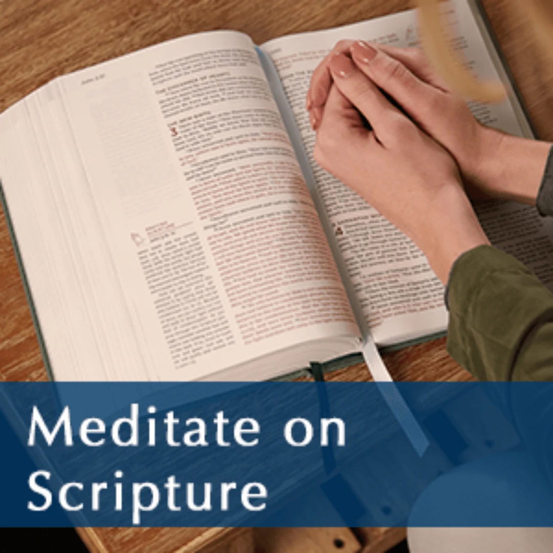 Jesus Calling 52-Week Bible Study: Experience the Presence of God - Image 3