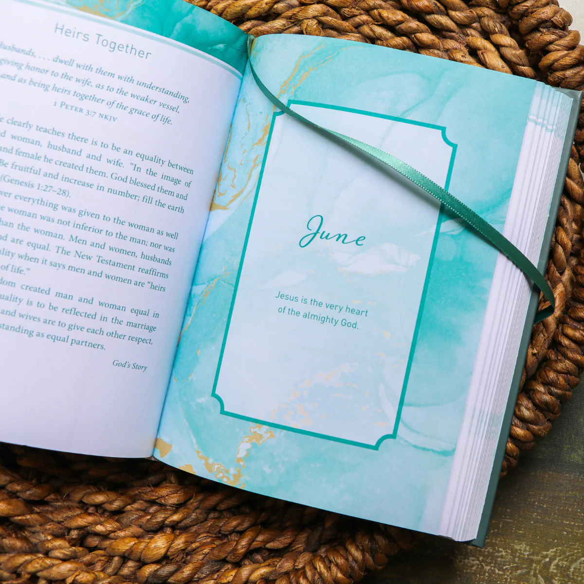 Jesus in Me Study Guide + Devotional + Bible Premium Bundle - Image 11