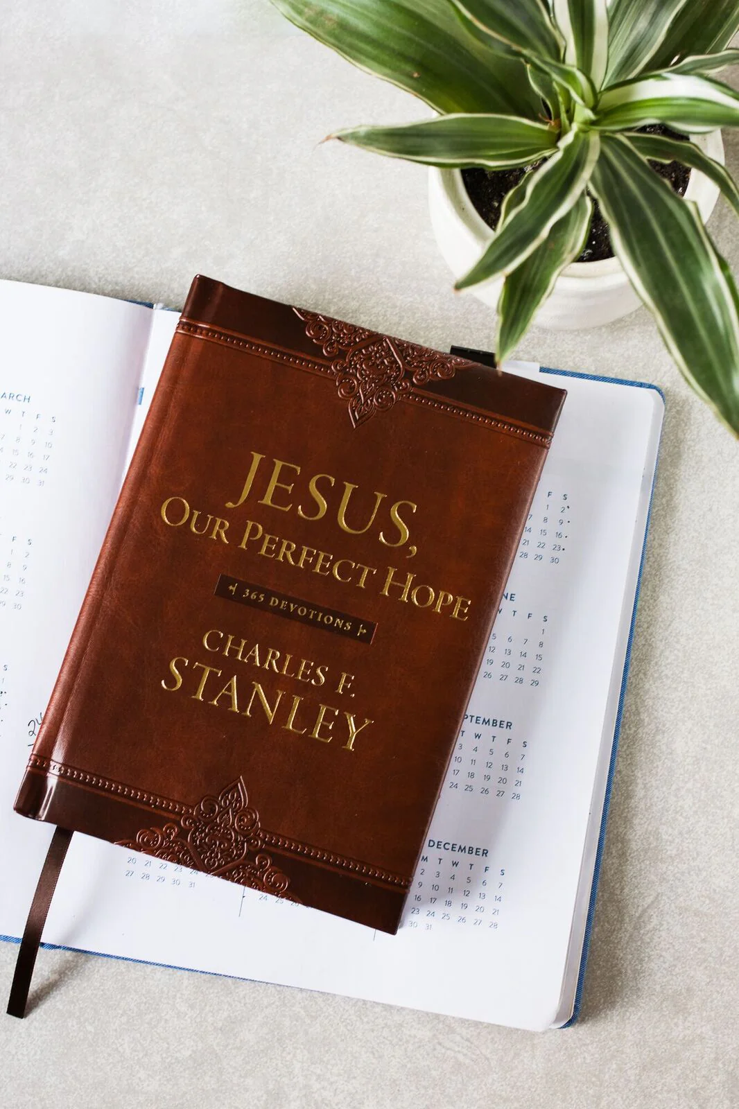 Jesus, Our Perfect Hope: A Daily Devotional for Finding Confidence and Encouragement in God’s Promises (365 Devotions - Inspiration for Every Day of the Year) - Image 3