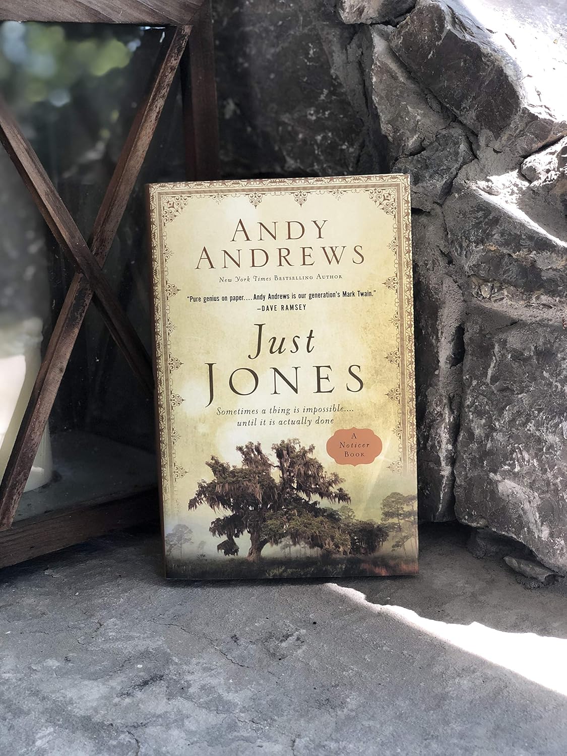 Just Jones: Sometimes a Thing Is Impossible . . . Until It Is Actually Done (A Noticer Book) - Image 4