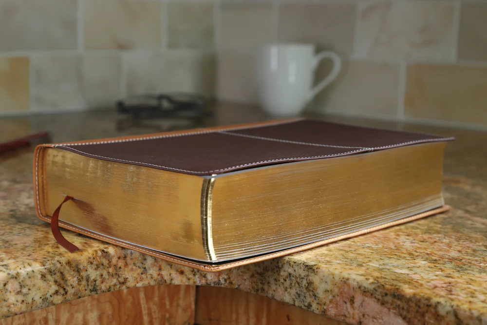 KJV, Amplified, Parallel Bible, Large Print, Red Letter Edition: Two Bible Versions Together for Study and Comparison - Image 11