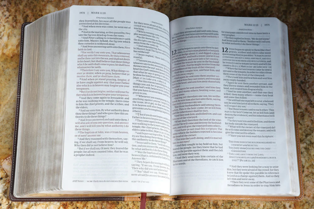 KJV, Amplified, Parallel Bible, Large Print, Red Letter Edition: Two Bible Versions Together for Study and Comparison - Image 13