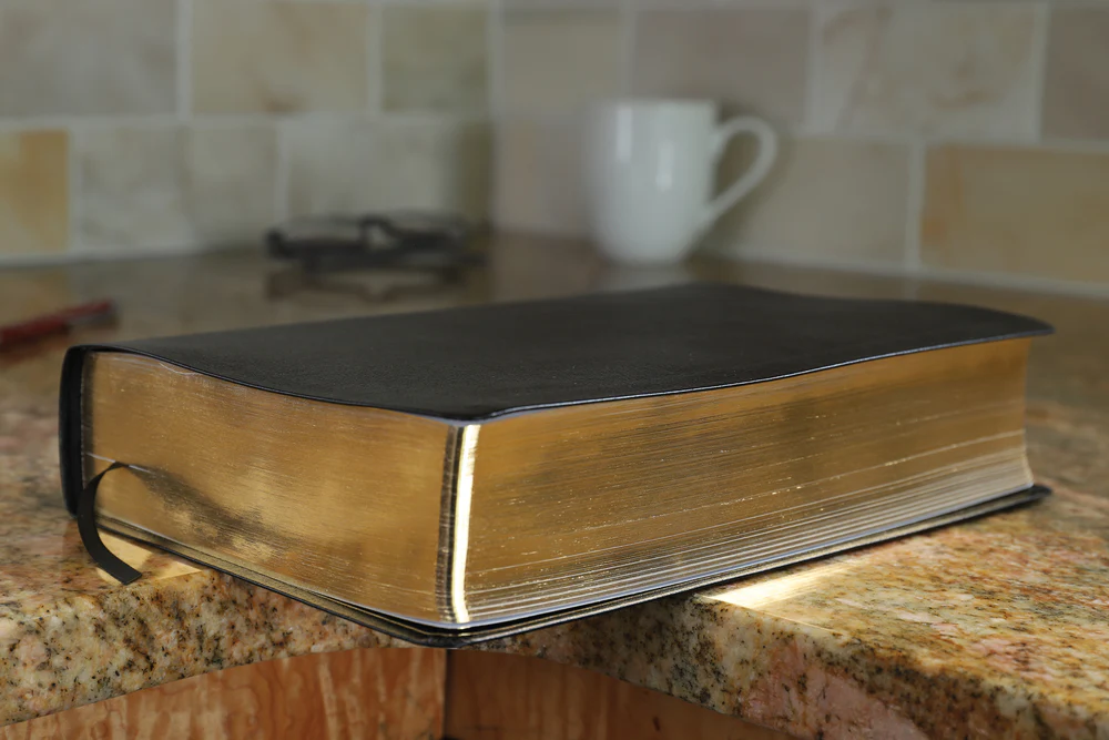 KJV, Amplified, Parallel Bible, Large Print, Red Letter Edition: Two Bible Versions Together for Study and Comparison - Image 17