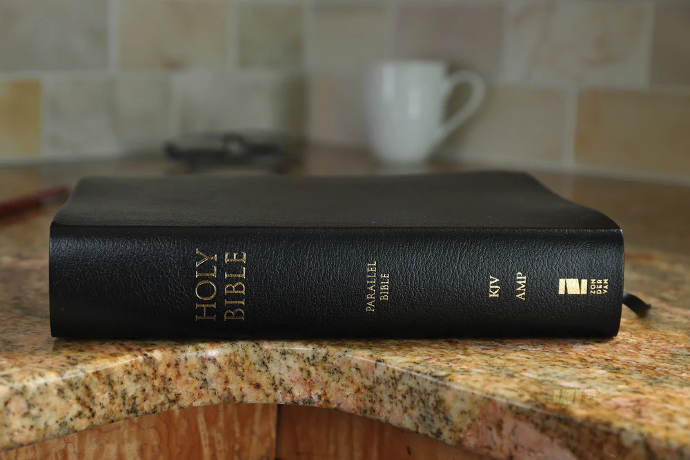 KJV, Amplified, Parallel Bible, Large Print, Red Letter Edition: Two Bible Versions Together for Study and Comparison - Image 18