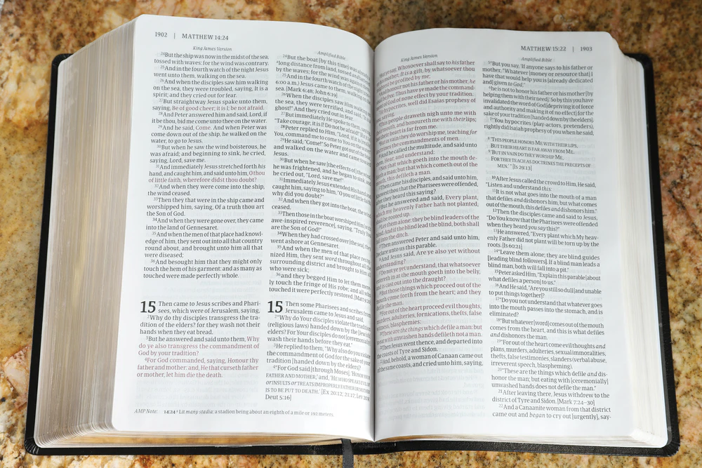 KJV, Amplified, Parallel Bible, Large Print, Red Letter Edition: Two Bible Versions Together for Study and Comparison - Image 19