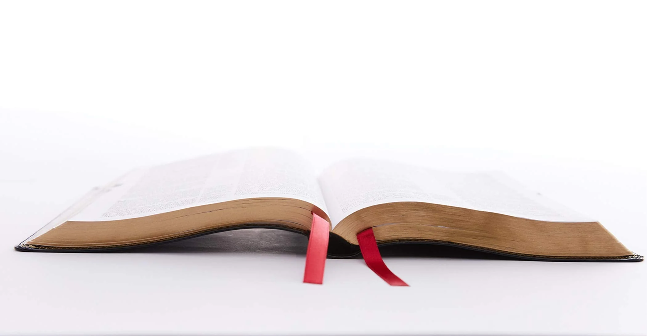 KJV, Deluxe Reference Bible, Center-Column Giant Print, Red Letter Edition, Comfort Print - Image 5