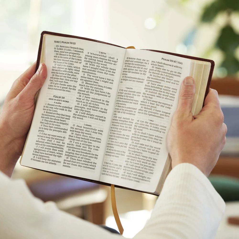 KJV Holy Bible: Personal Size Giant Print, Red Letter, Comfort Print: King James Version - Image 24