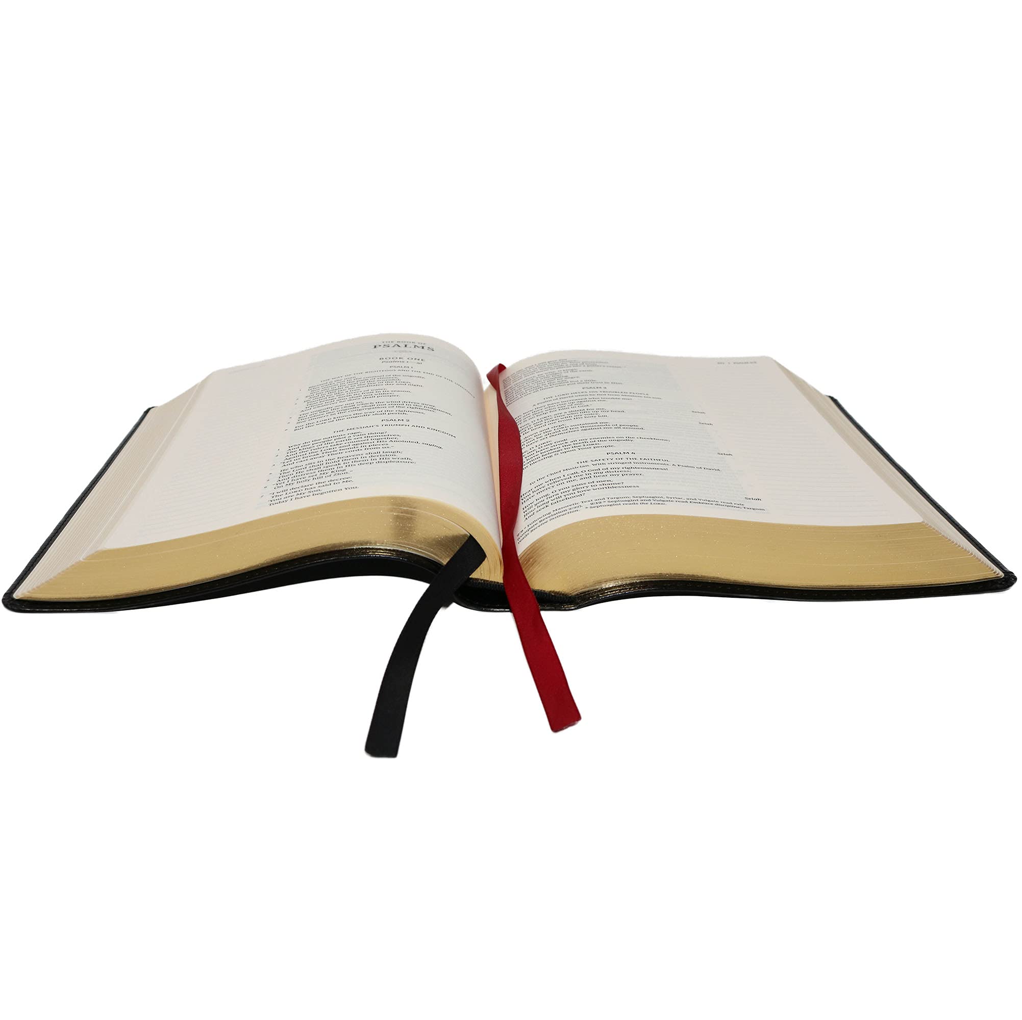 KJV, Journal the Word Bible, Red Letter Edition, Comfort Print - Image 4