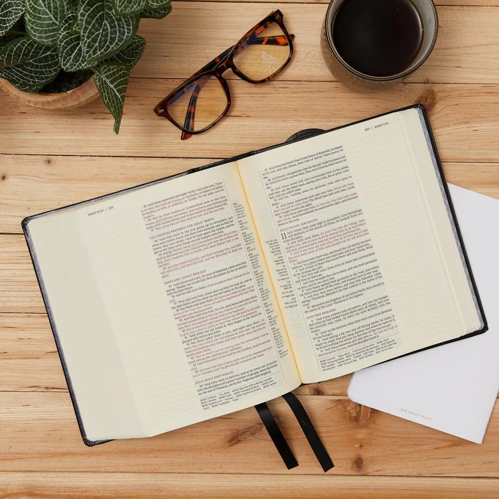 KJV, Journal Reference Edition Bible, Verse Art Cover Collection, Brown Leathersoft, Red Letter, Comfort Print: Let Scripture Explain Scripture. Reflect on What You Learn. - Image 15