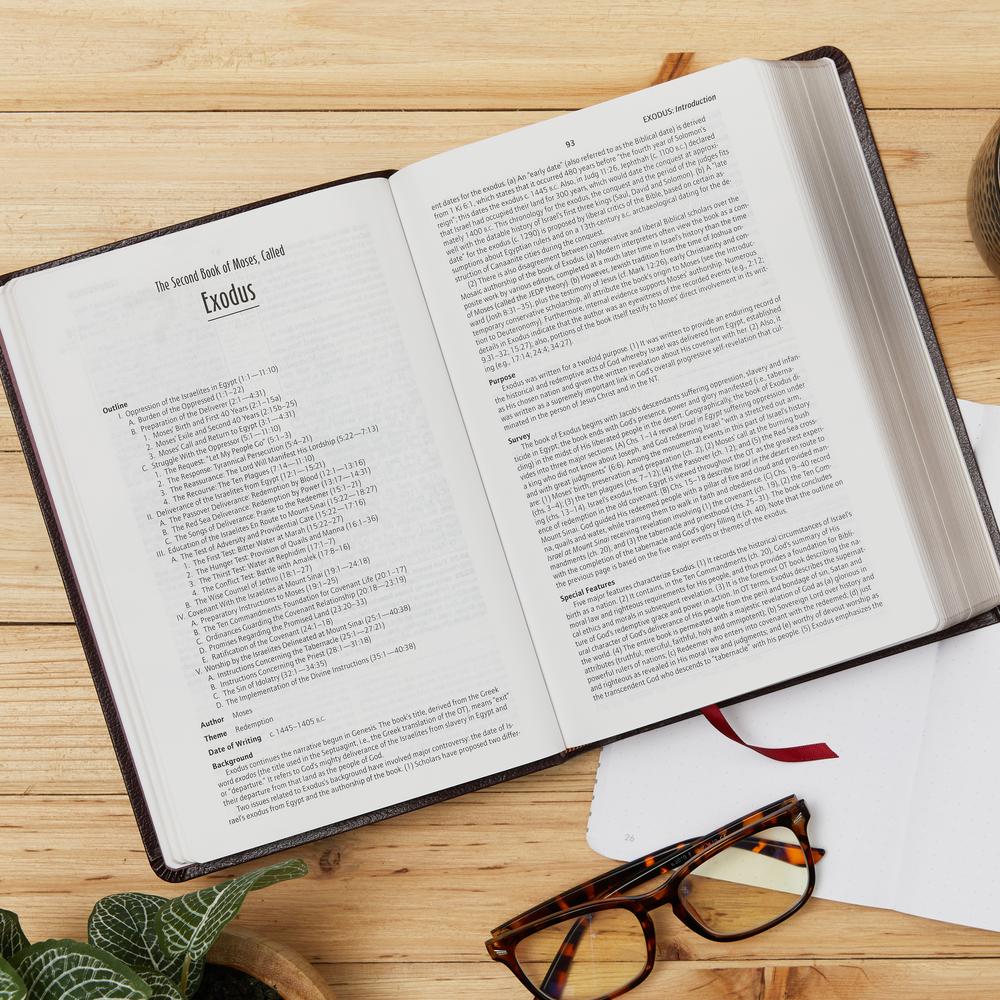 KJV, Life in the Spirit Study Bible, Red Letter Edition: Formerly Full Life Study - Image 51