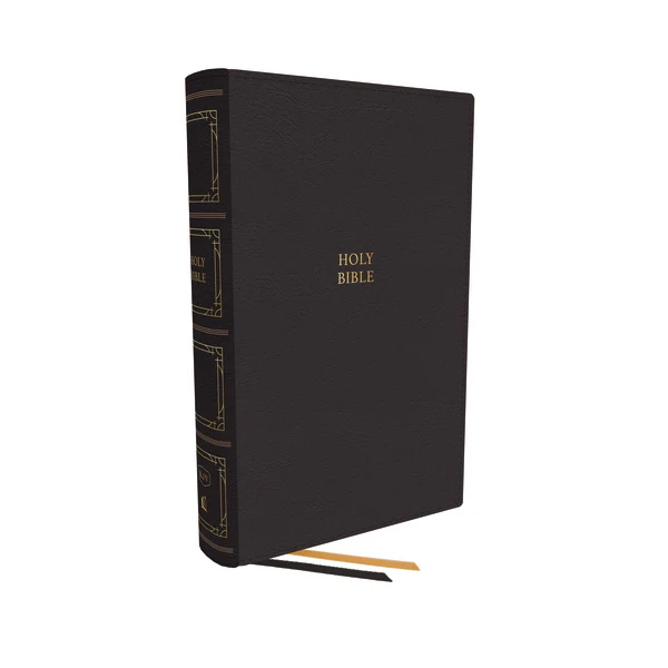 KJV, Paragraph-style Large Print Thinline Bible, Red Letter, Comfort Print - Image 7