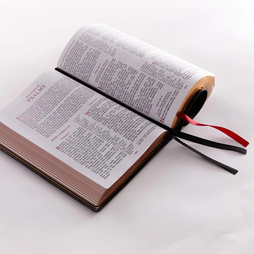 KJV, Reference Bible, Center-Column Giant Print, Premier Collection, Comfort Print - Image 10