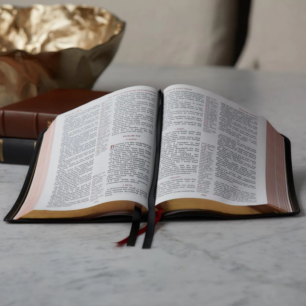 KJV, Reference Bible, Center-Column Giant Print, Premier Collection, Comfort Print - Image 12