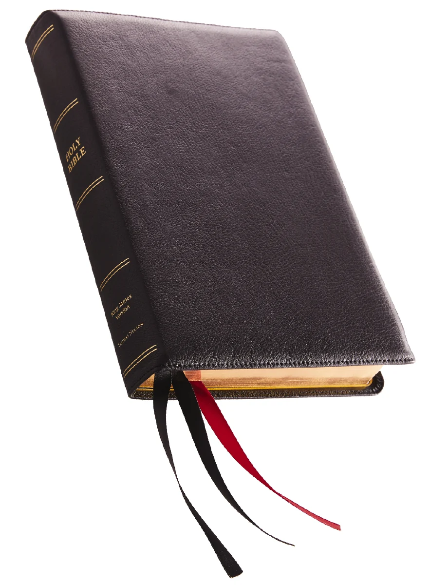 KJV, Reference Bible, Center-Column Giant Print, Premier Collection, Comfort Print - Image 19