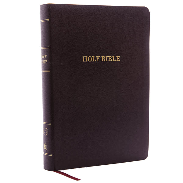 KJV Holy Bible Large Print Center-Column Reference Bible, 53,000 Cross References, Red Letter, Comfort Print - Image 2