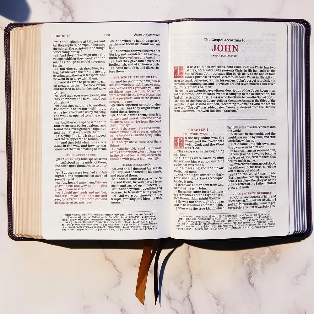 KJV, Personal Size Reference Bible, Sovereign Collection, Red Letter, Comfort Print: Holy Bible, King James Version - Image 13