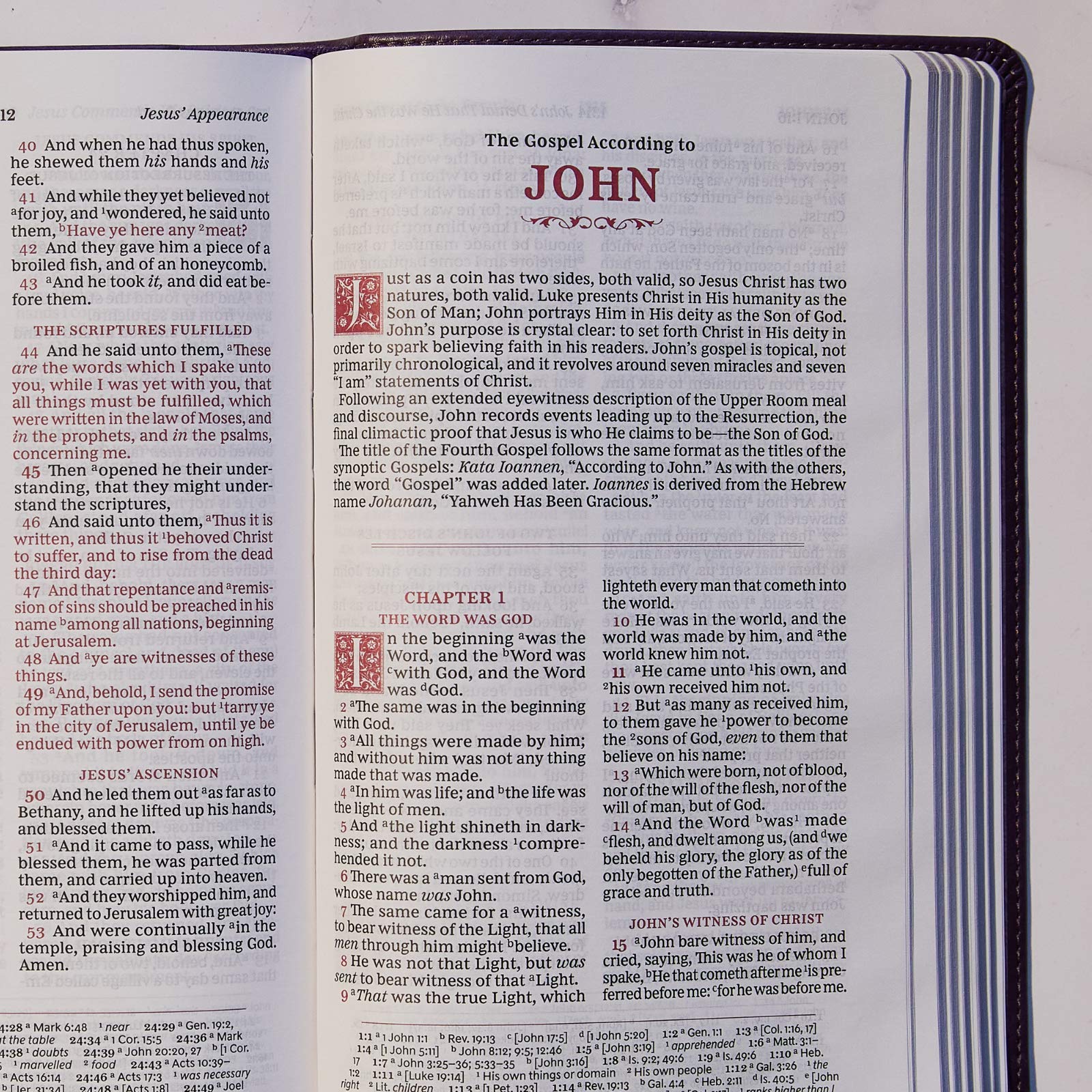 KJV, Personal Size Reference Bible, Sovereign Collection, Red Letter, Comfort Print: Holy Bible, King James Version - Image 17