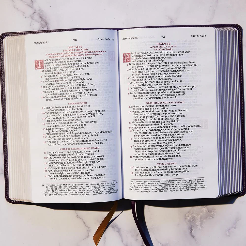 KJV, Personal Size Reference Bible, Sovereign Collection, Red Letter, Comfort Print: Holy Bible, King James Version - Image 77