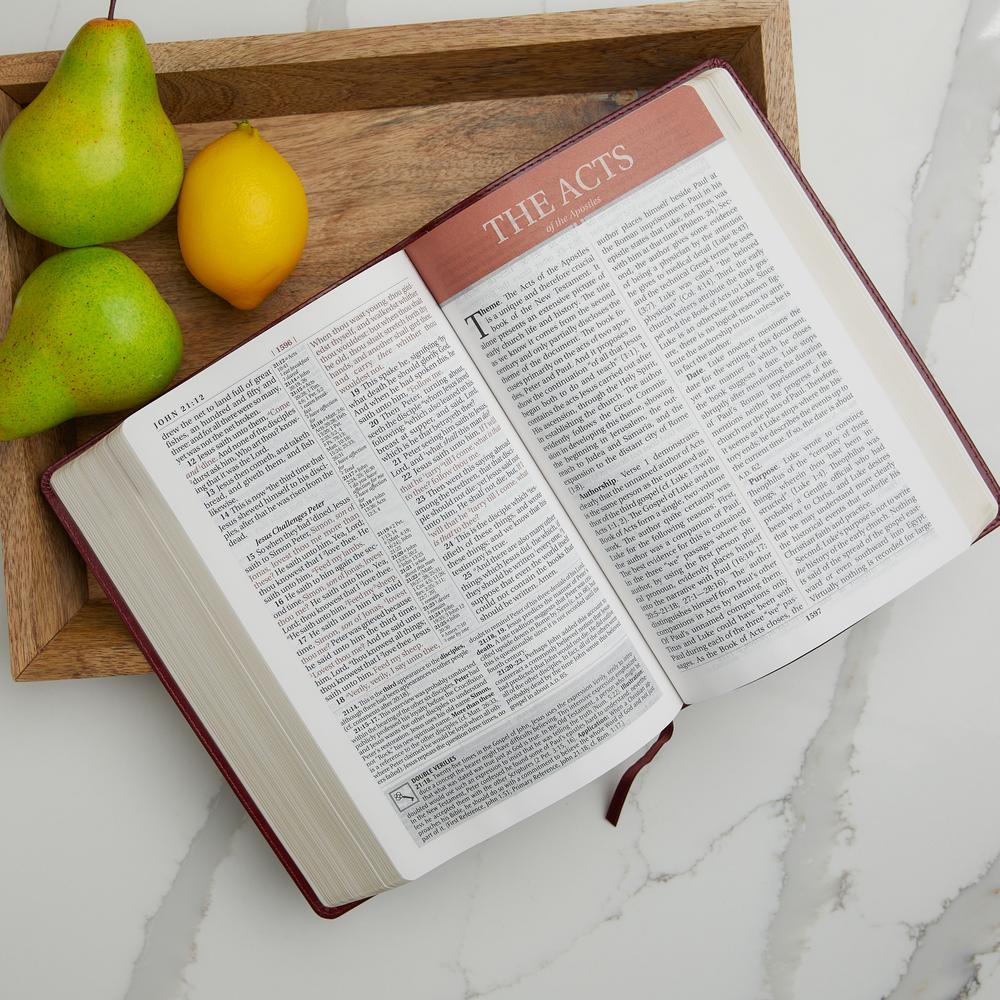 KJV Study Bible, Large Print, Red Letter Edition: Second Edition - Image 19