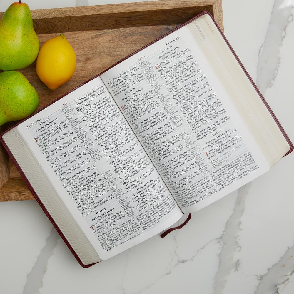 KJV Study Bible, Large Print, Red Letter Edition: Second Edition - Image 21