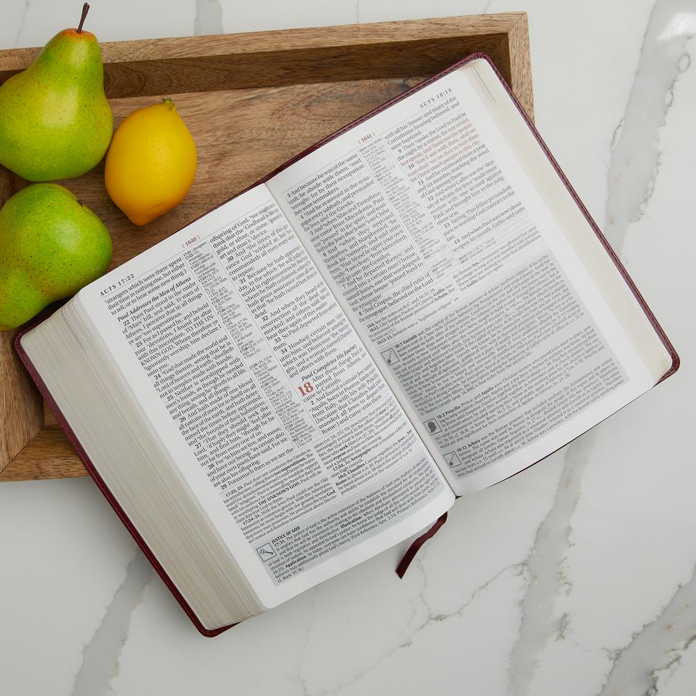 KJV Study Bible, Large Print, Red Letter Edition: Second Edition - Image 22