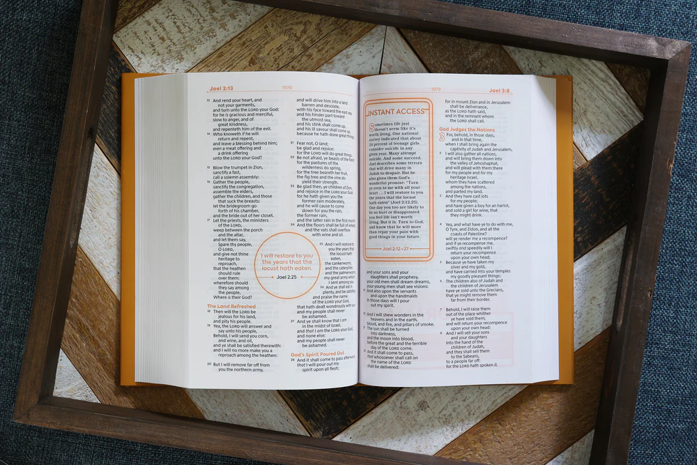 KJV, Teen Study Bible, Comfort Print - Image 14