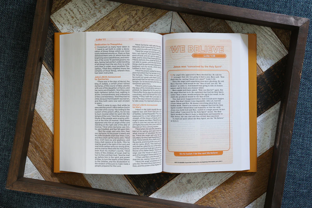 KJV, Teen Study Bible, Comfort Print - Image 15