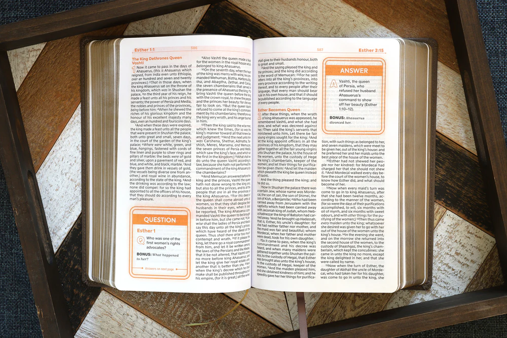 KJV, Teen Study Bible, Comfort Print - Image 22