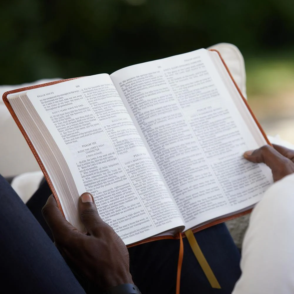 KJV, Thinline Bible, Large Print, Premium Goatskin Leather, Premier Collection, Red Letter, Comfort Print - Image 14