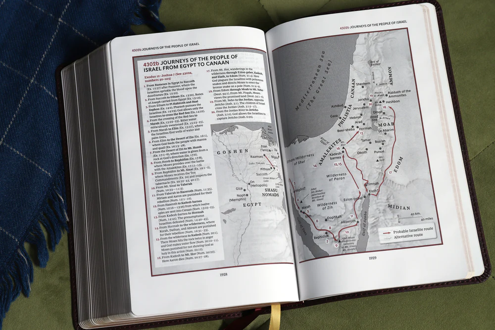 KJV, Thompson Chain-Reference Bible, Handy Size, Red Letter, Comfort Print - Image 15