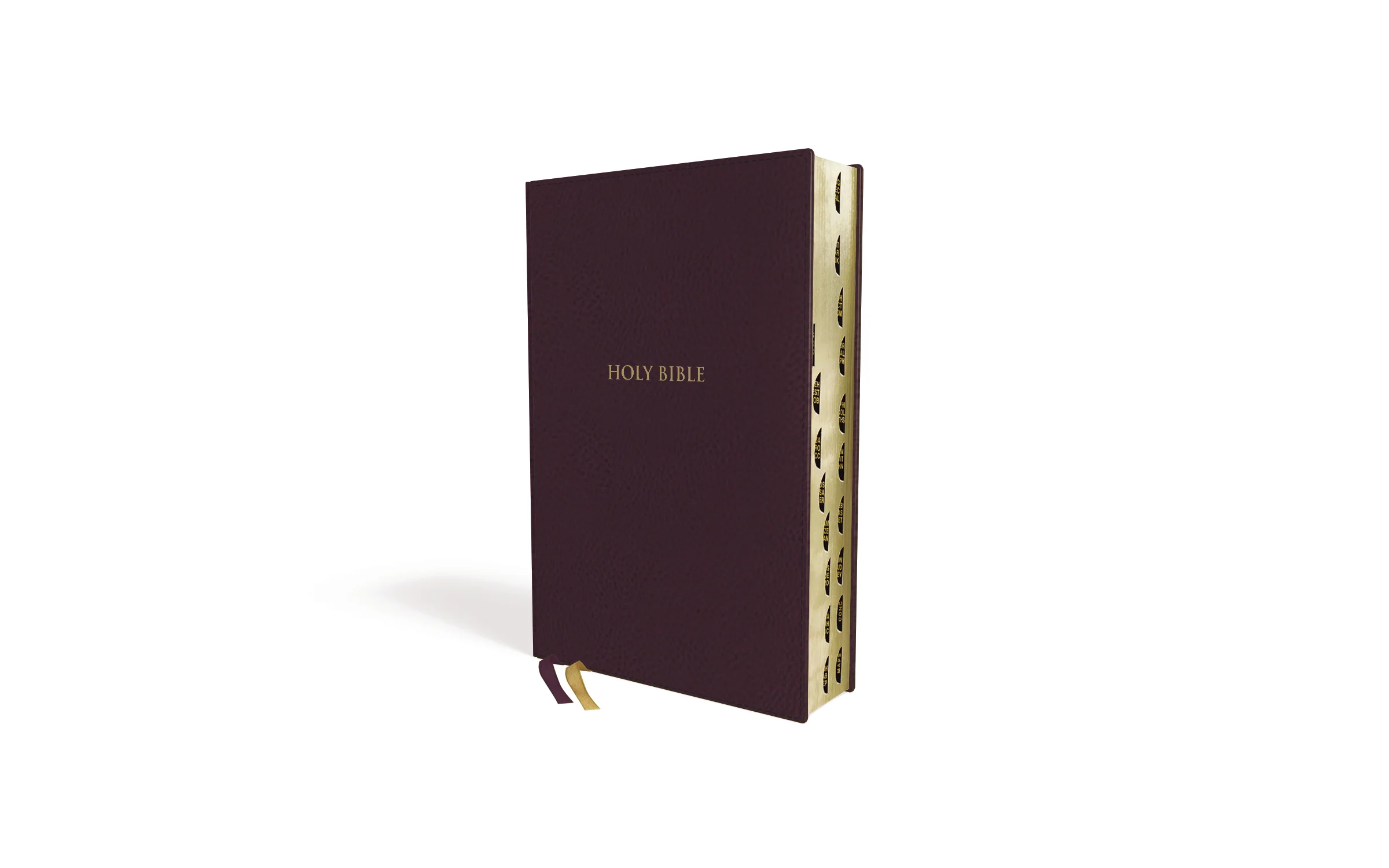 KJV, Thompson Chain-Reference Bible, Handy Size, Red Letter, Comfort Print - Image 2