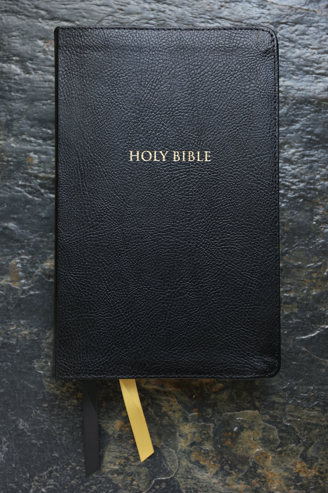 KJV, Thompson Chain-Reference Bible, Handy Size, Red Letter, Comfort Print - Image 21