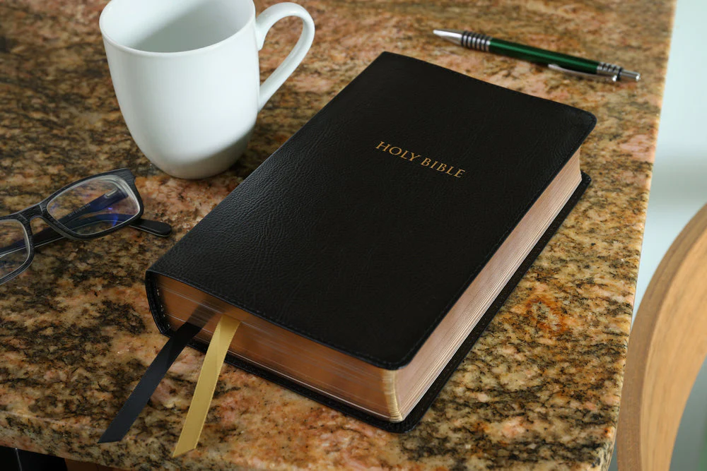 KJV, Thompson Chain-Reference Bible, Handy Size, Red Letter, Comfort Print - Image 22